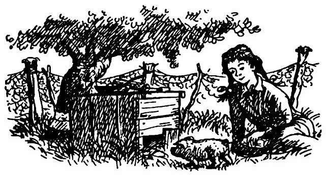 Паутинка Шарлотты - i_004.jpg