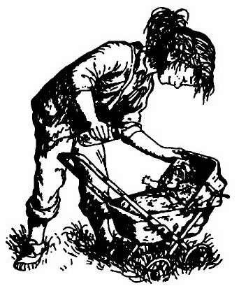 Паутинка Шарлотты - i_005.jpg