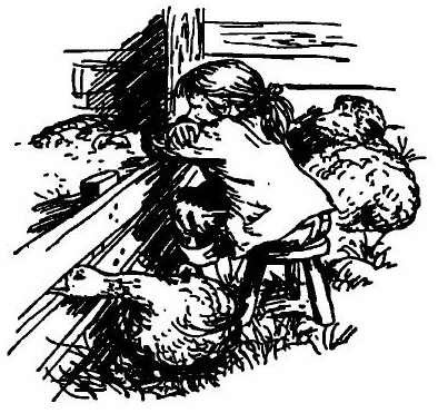 Паутинка Шарлотты - i_007.jpg