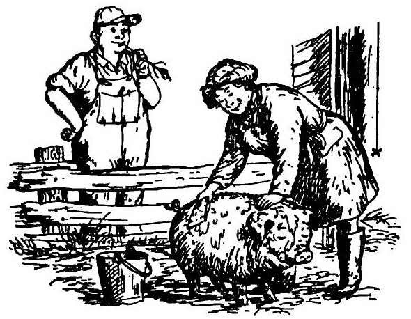 Паутинка Шарлотты - i_031.jpg