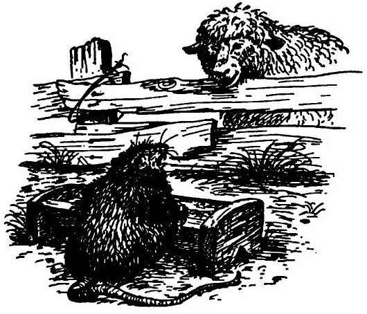 Паутинка Шарлотты - i_042.jpg