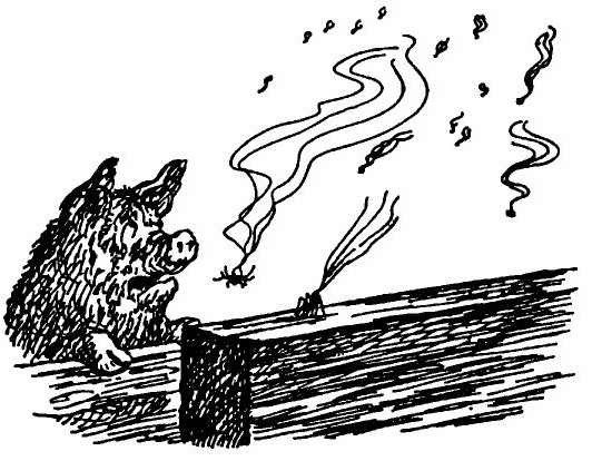 Паутинка Шарлотты - i_043.jpg