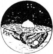 Энциклопедия языческих богов. Мифы древних славян - i_008.jpg