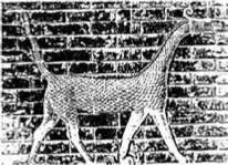 Энциклопедия языческих богов. Мифы древних славян - i_169.jpg