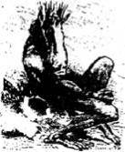 Энциклопедия языческих богов. Мифы древних славян - i_189.jpg