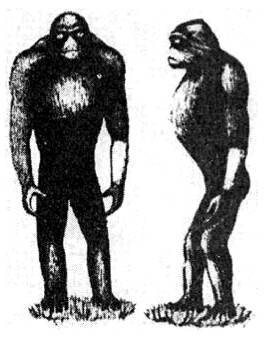 Энциклопедия языческих богов. Мифы древних славян - i_237.jpg