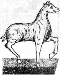 Энциклопедия языческих богов. Мифы древних славян - i_357.jpg