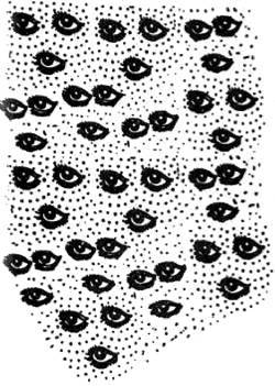 Энциклопедия языческих богов. Мифы древних славян - i_412.jpg