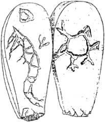 Энциклопедия языческих богов. Мифы древних славян - i_434.jpg