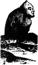 Энциклопедия языческих богов. Мифы древних славян - i_551.jpg