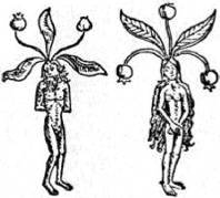 Энциклопедия языческих богов. Мифы древних славян - i_560.jpg