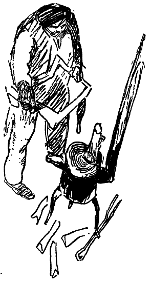 Собрание сочинений. Т.11.  - i_029.png