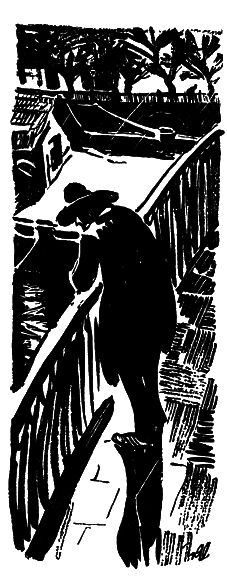 Собрание сочинений. Т.11.  - i_043.png