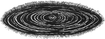 Румо и чудеса в темноте. Книга I - _6_vodoem.png