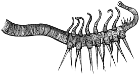 Румо и чудеса в темноте. Книга I - _10_instrumf.png
