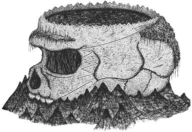 Румо и чудеса в темноте. Книга I - _1_cherep.png