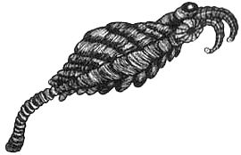 Румо и чудеса в темноте. Книга I - _9_instrume.png