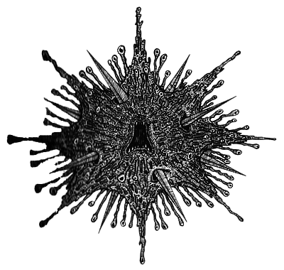 Румо и чудеса в темноте. Книга II - _2_koluchka.png