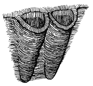 Румо и чудеса в темноте. Книга II - _4_in1.png