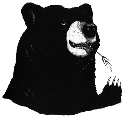 Румо и чудеса в темноте. Книга II - _4_talon.png