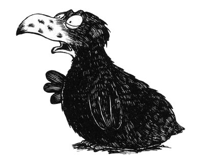 Румо и чудеса в темноте. Книга II - _5_elm.png