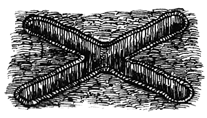 Румо и чудеса в темноте. Книга II - _9_in6.png