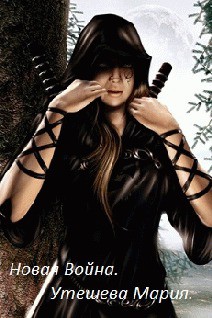 Книга Новая война (СИ)