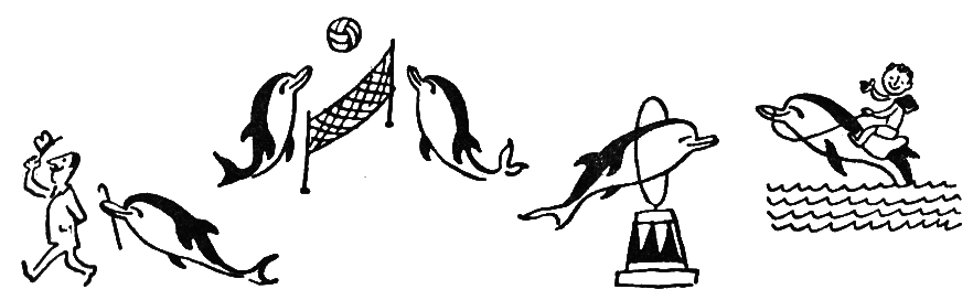 Путешествие на «Тригле» - i_011.png