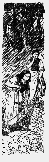 Собрание сочинений. Т. 12. Земля - i_010.png