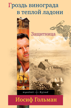 Читать онлайн книгу Защитница. Любовь, ненависть и белые ночи автор Гольман Иосиф Абрамович Книга Защитница. Любовь, ненависть и белые ночи