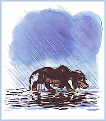 100 любимых стихов малышей. Сборник стихотворений разных авторов. - i_104.jpg