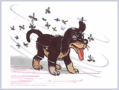 100 любимых стихов малышей. Сборник стихотворений разных авторов. - i_107.jpg