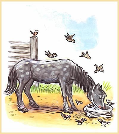 100 любимых стихов малышей. Сборник стихотворений разных авторов. - i_112.jpg