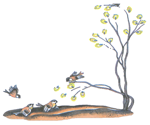 100 любимых стихов малышей. Сборник стихотворений разных авторов. - i_157.png