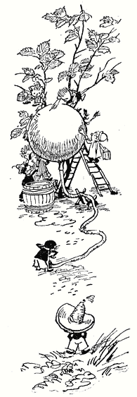 Приключенията на Незнайко - i_032.png