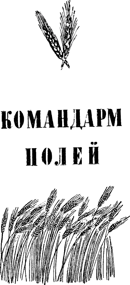 Земля в цвету - p0066.png