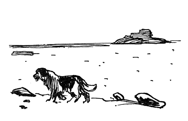 Собрание сочинений. Т. 9.  - i_051.png