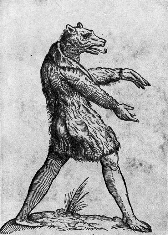 Под тропиком Козерога - i_005.jpg