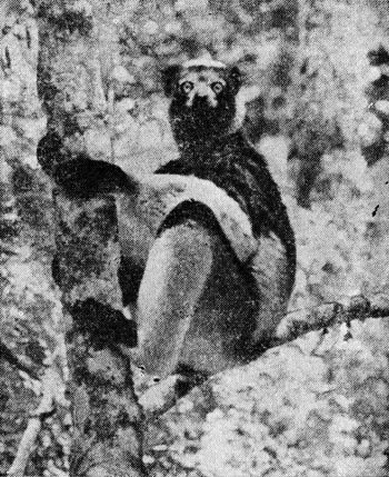 Под тропиком Козерога - i_006.jpg