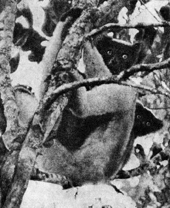 Под тропиком Козерога - i_007.jpg