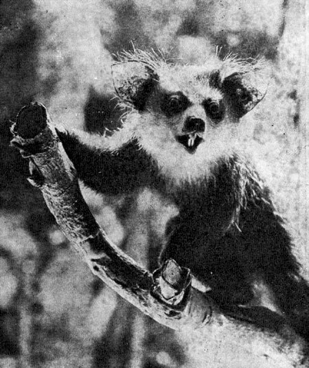 Под тропиком Козерога - i_012.jpg