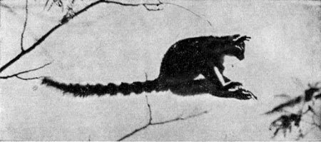 Под тропиком Козерога - i_014.jpg