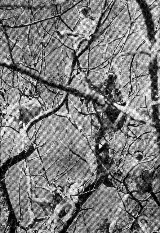 Под тропиком Козерога - i_017.jpg