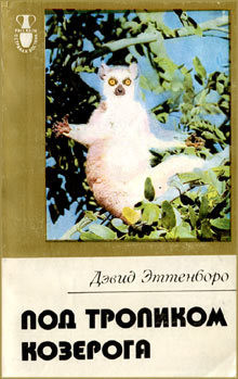 Книга Под тропиком Козерога