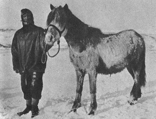 Состязание. Странствие - i_011.jpg