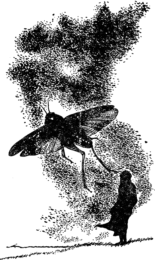 Чувства животных и человека - i_009.png