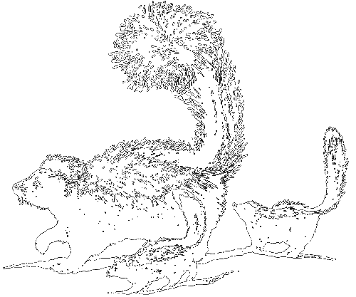 Чувства животных и человека - i_014.png