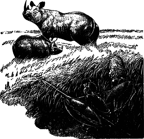 Чувства животных и человека - i_015.png