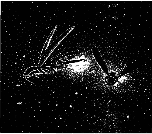 Чувства животных и человека - i_029.png