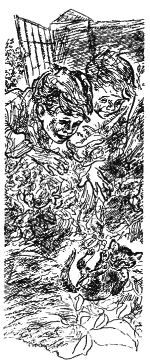 Рыжий - i_002.png